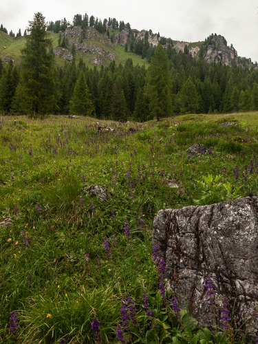 Hike 1 3397