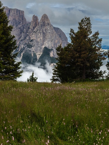 Hike 3 3434