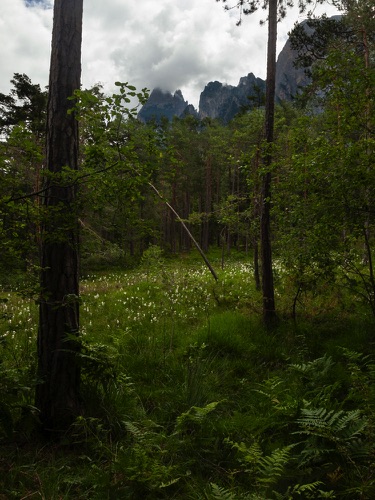 Hike 4 3511
