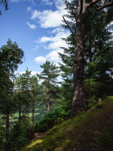 IMG_4127.jpg
Trail to Craigmonie Crag