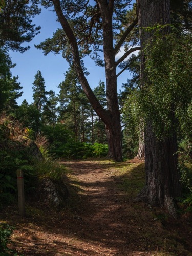 IMG_4130.jpg
Trail to Craigmonie Crag