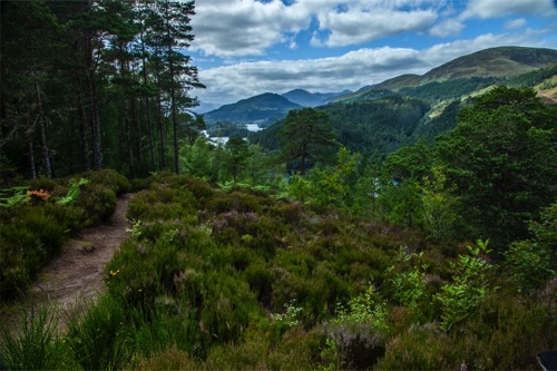 IMG_4195-HDR.jpg
Overlook in Glen Affric