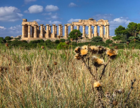 Temple F, Agrigento
IMG_5000_1_2.jpg Temple F, Agrigento
IMG_5000_1_2.jpg