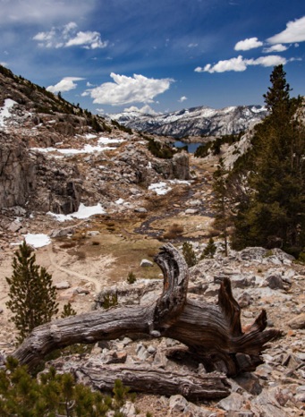 Looking South from Selden Pass
20150604-_MG_6944.jpg Looking South from Selden Pass
20150604-_MG_6944.jpg