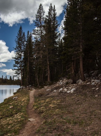 Between Sally Keyes
Lakes, Sierras
20150604-_MG_6948.jpg Between Sally Keyes
Lakes, Sierras
20150604-_MG_6948.jpg