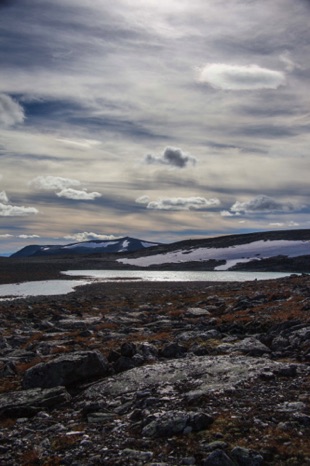 Snøhetta Area
20160905-_MG_-8005.jpg Snøhetta Area
20160905-_MG_-8005.jpg