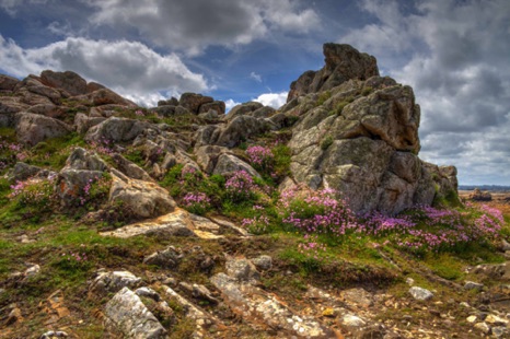 Plougrescant Peninsula, Brittany
20170527-IMG_9467_8_9.jpg Plougrescant Peninsula, Brittany
20170527-IMG_9467_8_9.jpg