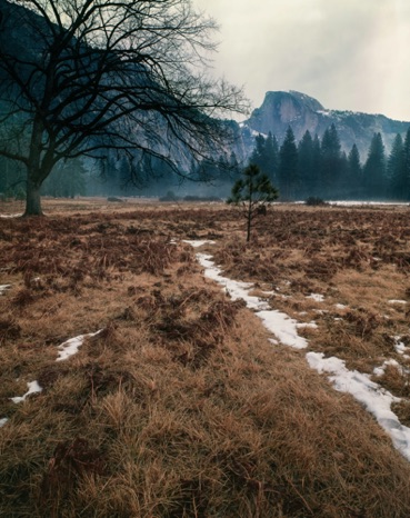 Yosemite Valley
.jpg Yosemite Valley
.jpg