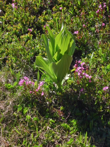 L1010769_1.jpg