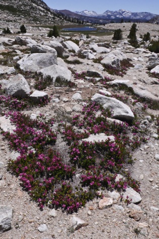 L1010815_1.jpg
