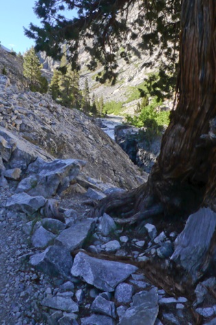L1010824_1.jpg