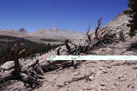 L1010867_1.jpg