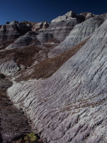 Blue Mesa
Petrified Forest NP
